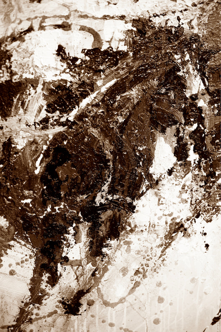 files/423Cavalier48x72_F.jpg