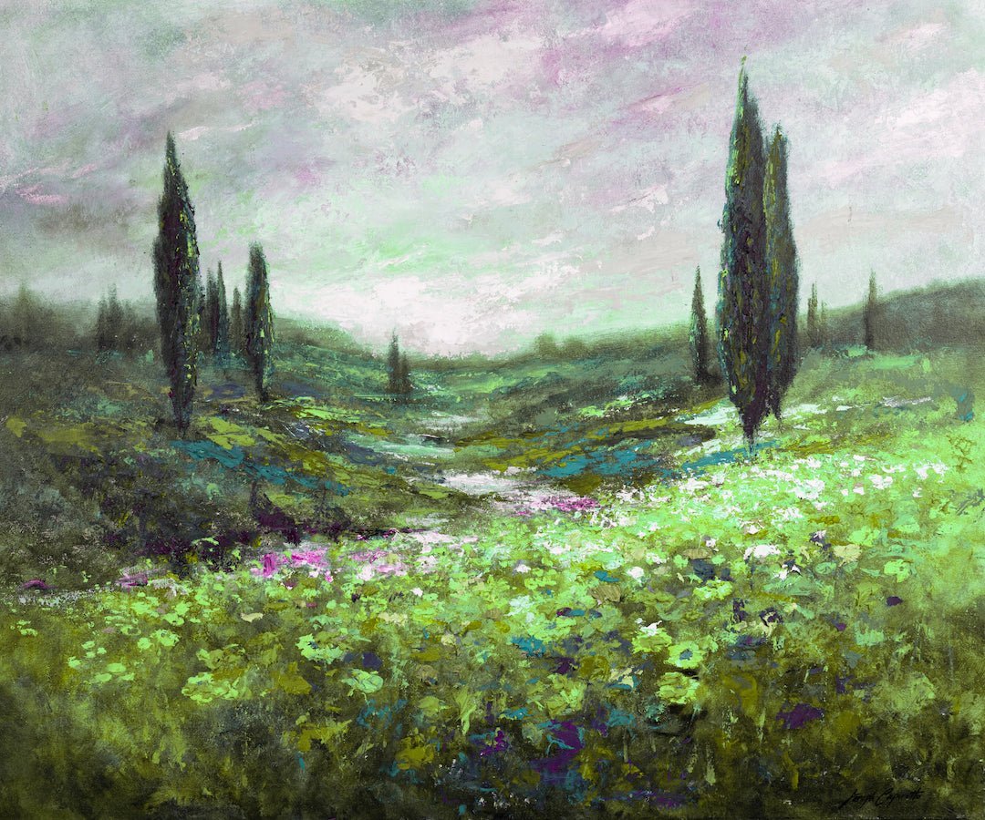 The Valley/#537/D