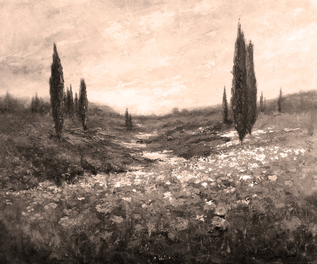 The Valley/#537/F