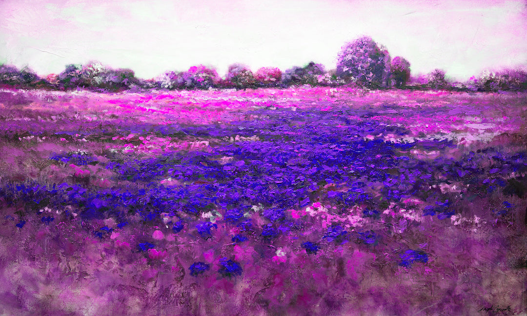 Red Meadow 2/#541/B