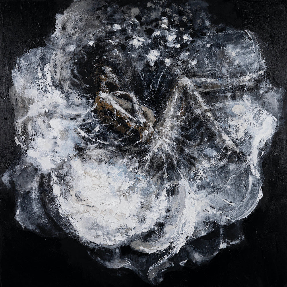 files/601DreamWeaver36x36.jpg