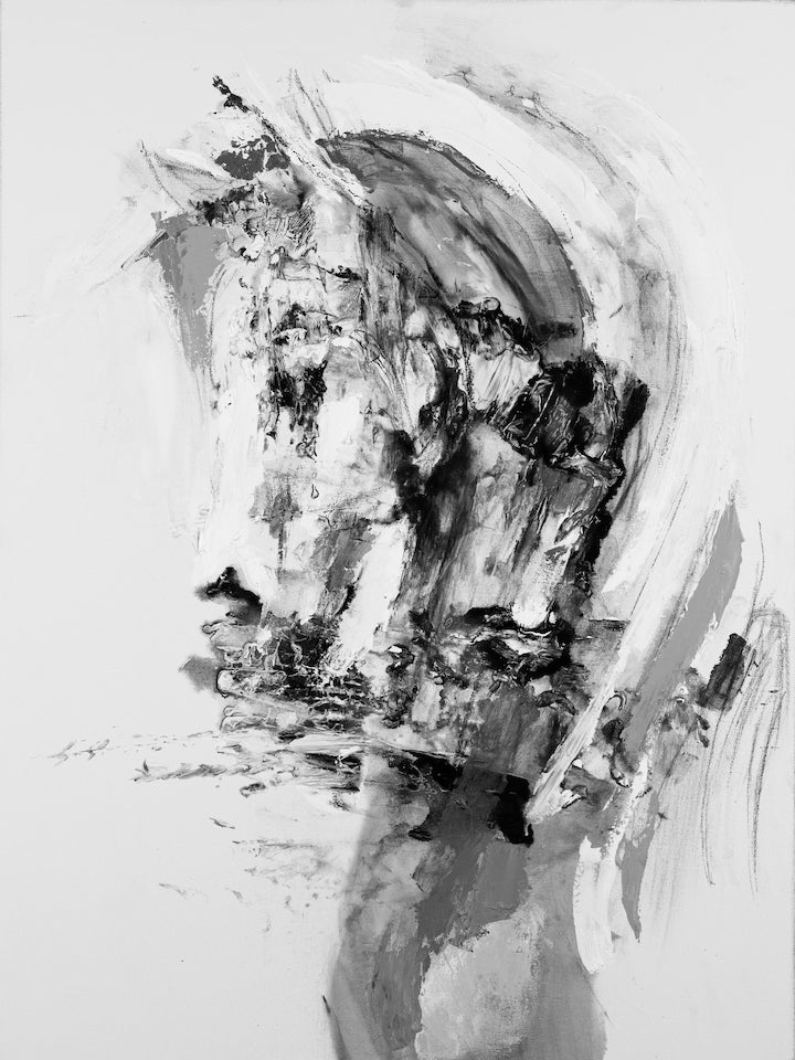 Horse Head Abstract One/#623/F