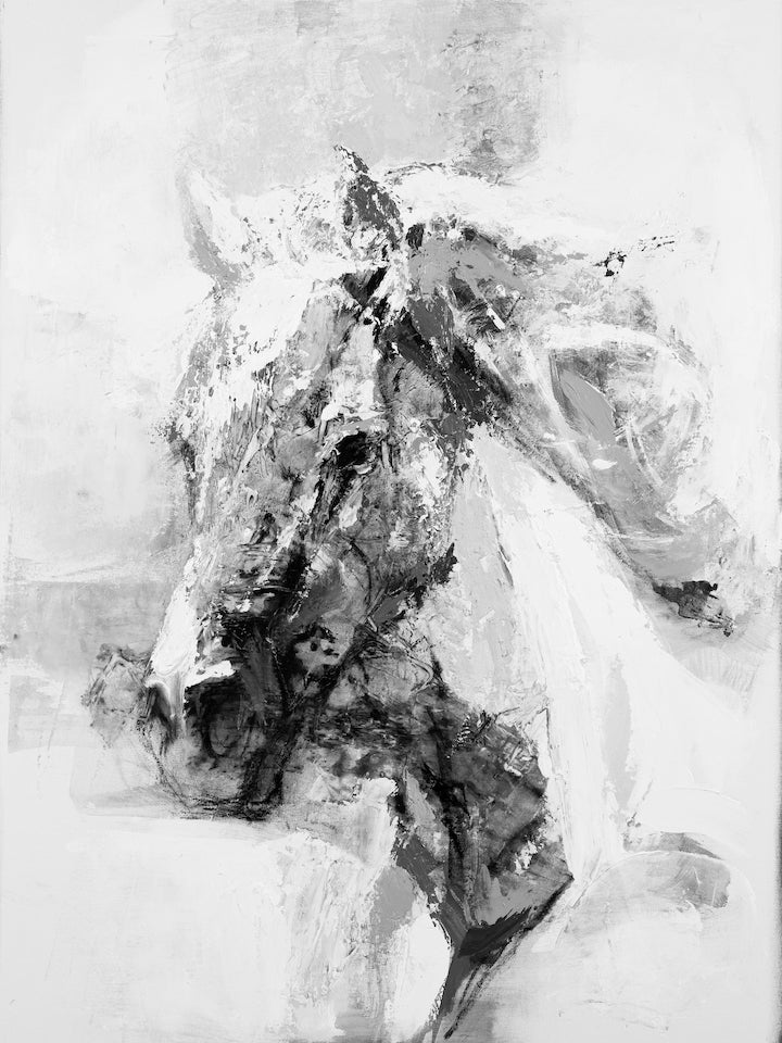 Horse Head Abstract Two/#624/E
