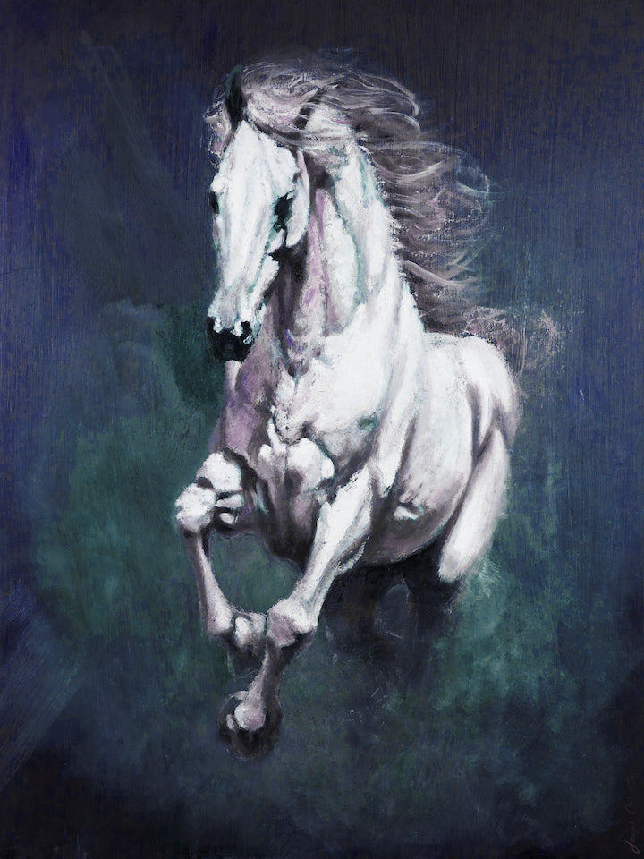 Cavallo Bianco/#650/D