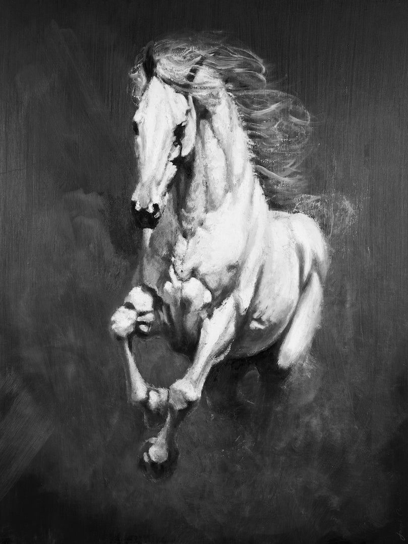 Cavallo Bianco/#650/G
