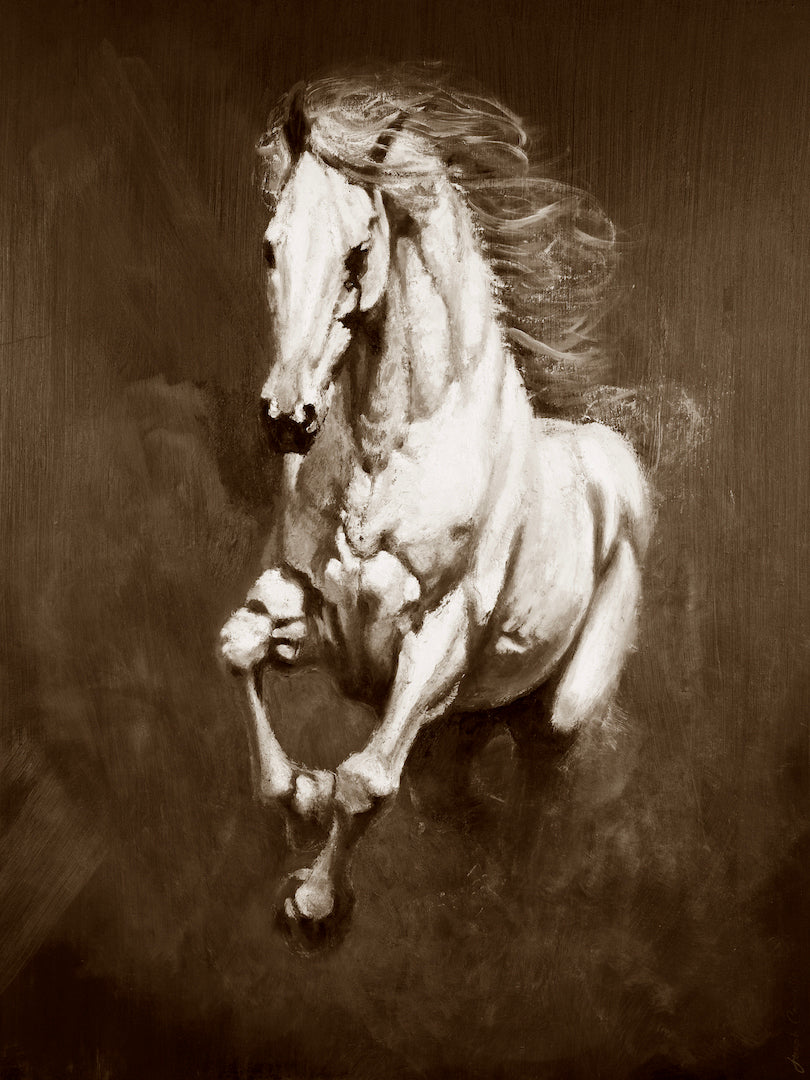 Cavallo Bianco/#650/H