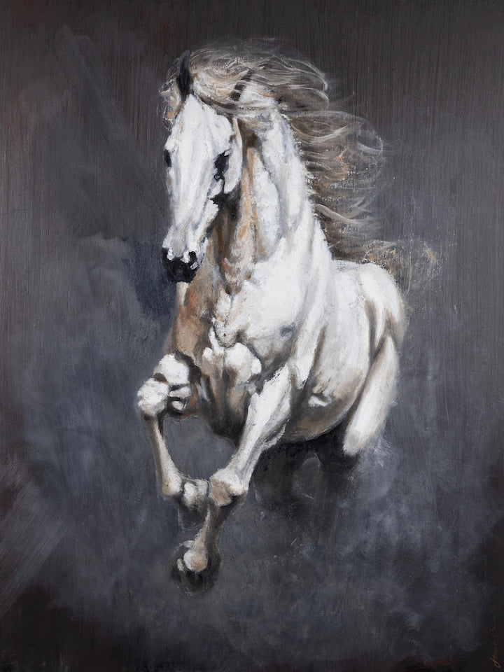 icon_collection_banner