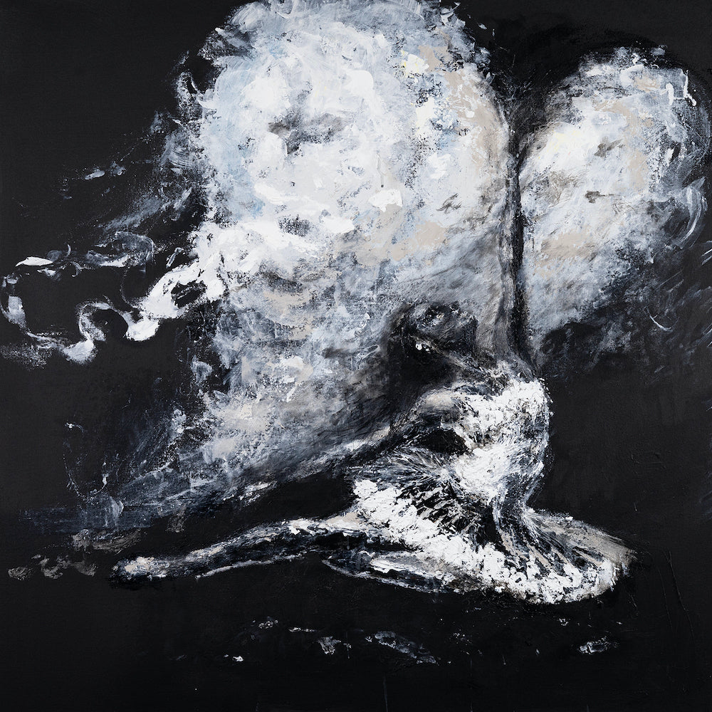 icon_collection_banner