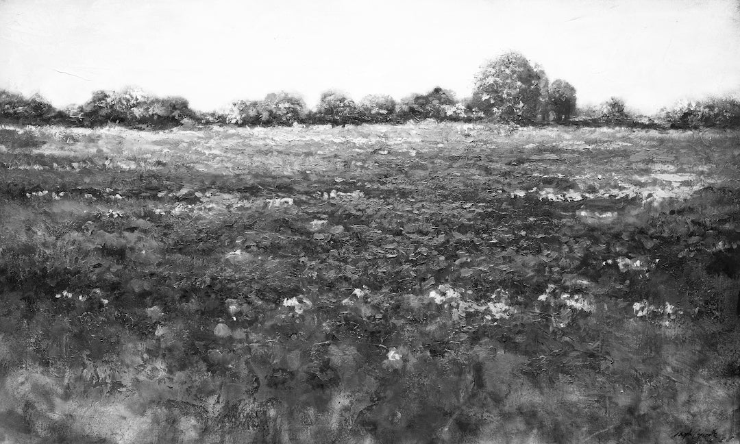 Red Meadow 2/#541/E