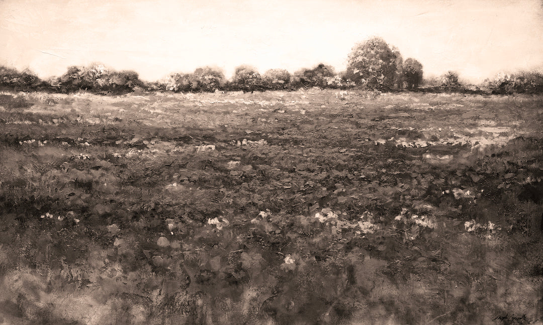 Red Meadow 2/#541/F