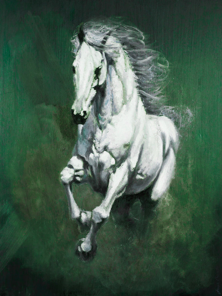 Cavallo Bianco/#650/E